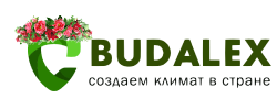 Будалекс. Республиканский интернет магазин. Будалекс. Республиканский интернет магазин.