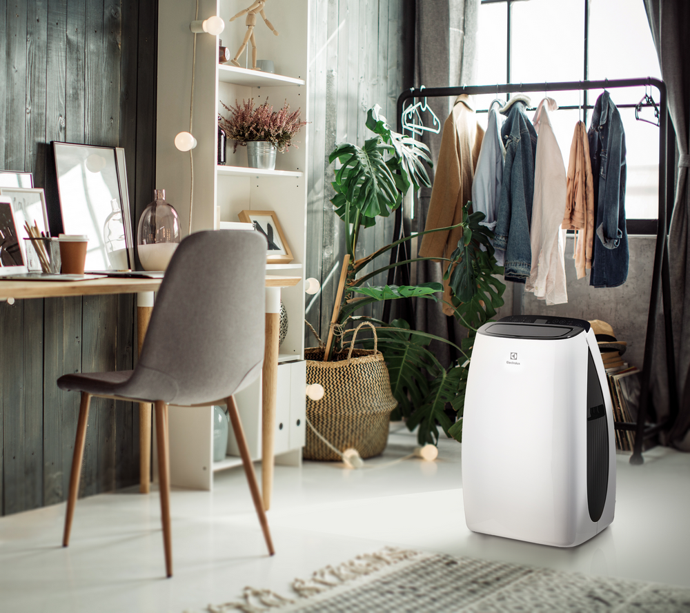 Кондиционер мобильный Electrolux Art Style EACM-13 HR/N3