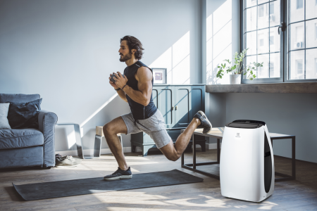 Кондиционер мобильный Electrolux Art Style EACM-13 HR/N3